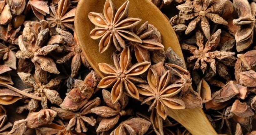 Yıldız Anason nedir? Yıldız Anasonla hangi yemek tarifleri yapılır