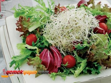 Fesleğen Soslu Akdeniz  Salatası Tarifi, Nasıl Yapılır?
